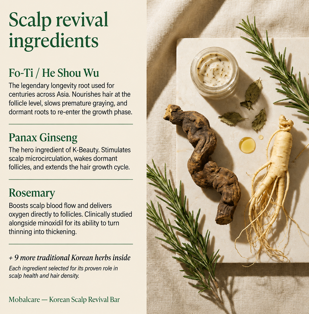 Korean Scalp Revival Bar